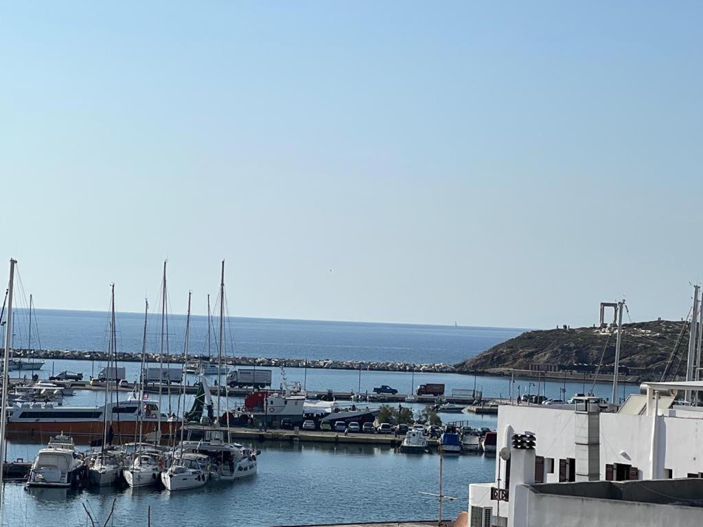 Naxos Best View Apartment Naxos City Exterior foto